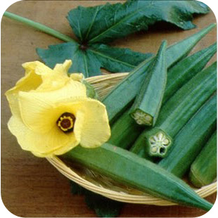 okra_basket