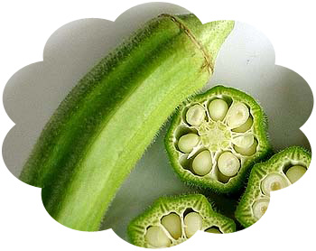 okra_fruit