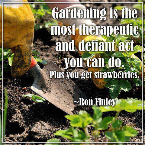 gardening_is_therapeutic