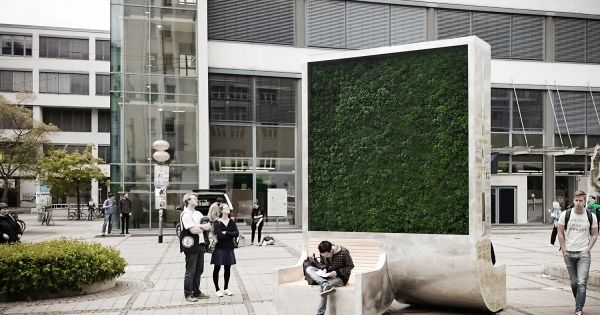 Using Moss to Clean Air in Urban Areas city tree moss