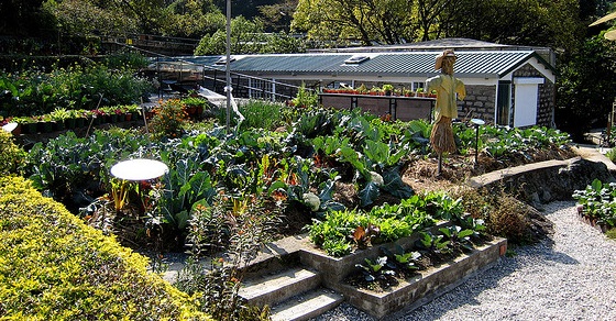 organic_gardening