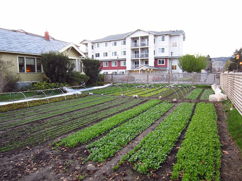 urban-farm-green-city-acres