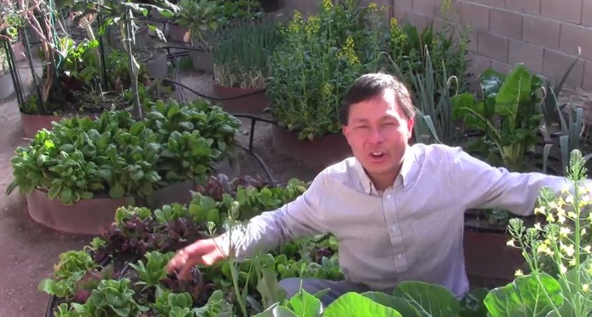 Vegetable Gardening vegetable_gardening
