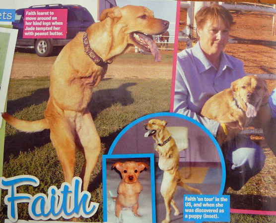 little_faith