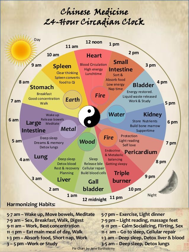 The Power of Ritual and The 24 Hour Qi Cycle