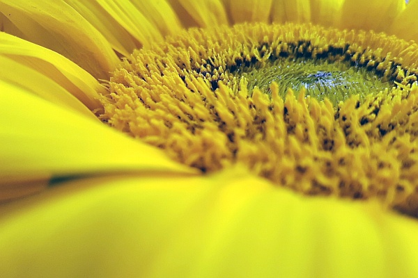 Getting In Touch With Your True Identity intouch