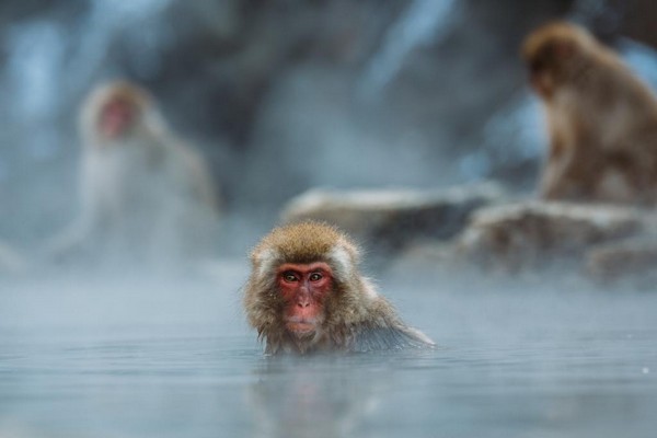 Hidden Zen gems in Tokyo