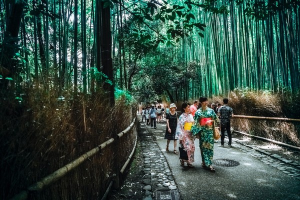 Arashiyami Bamboo Grove