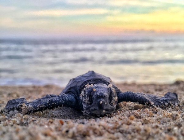 Discover the Marine Life at the Most Beautiful Places on Earth