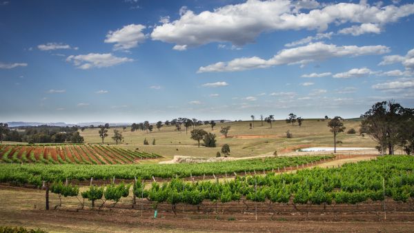 7 Amazing Relaxing Places Around Sydney 7 Amazing Relaxing Places Around Sydney