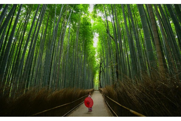 Rejuvenating charms of Japan Rejuvenating charms of Japan