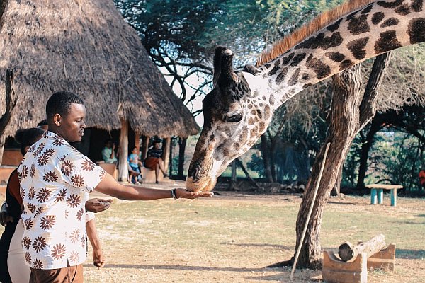 Have a Fun Day with Rhinos and Giraffes in Namibia, Southern Africa