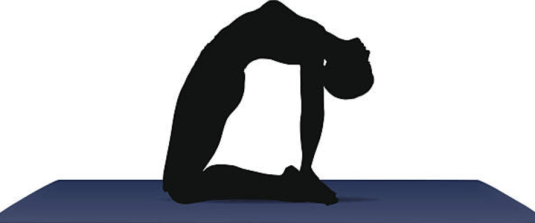 Camel Pose Camel Pose