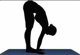 Gentle Forward Bend Gentle Forward Bend