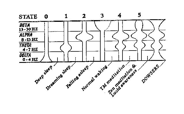 dowsing_brain