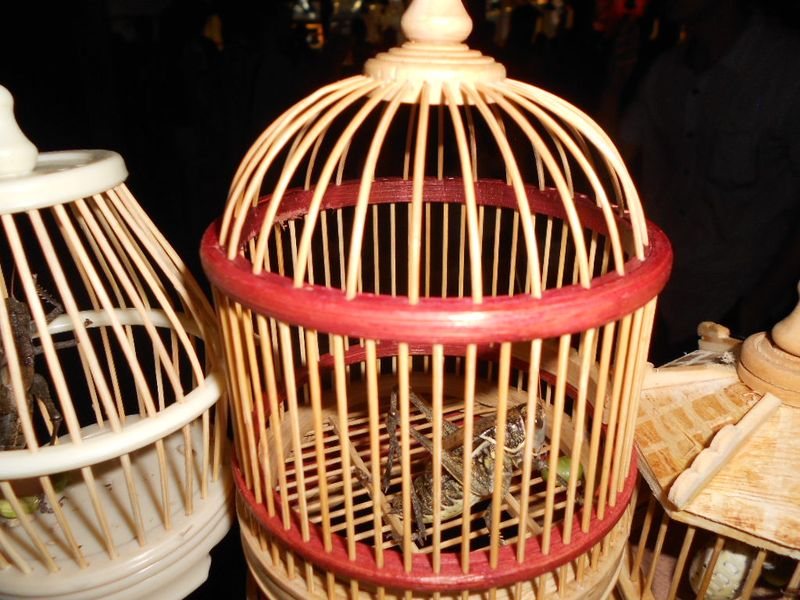 Cricket Cages cricket-cages