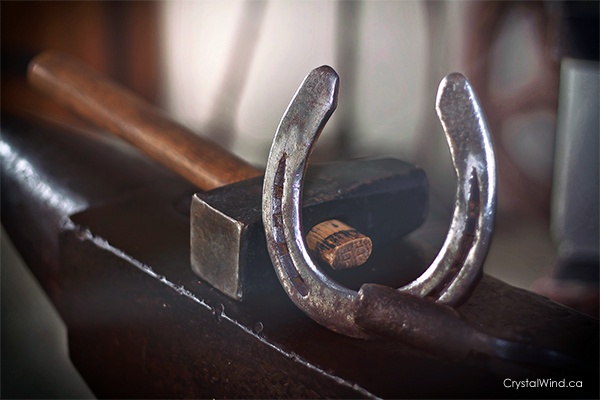 Horseshoes Horseshoes