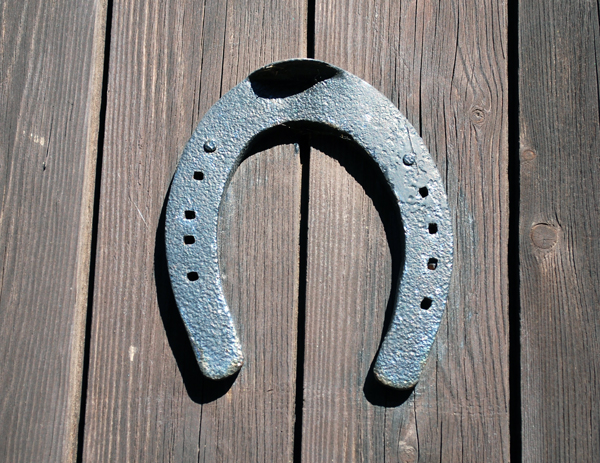 Horseshoe horeshoe