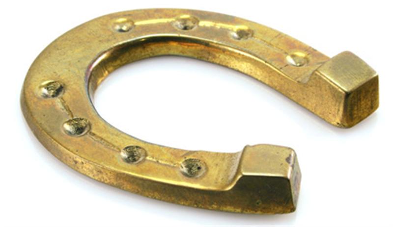 Horseshoe horsehsoe