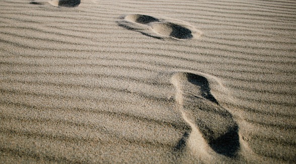 Walking Meditation walking_meditation