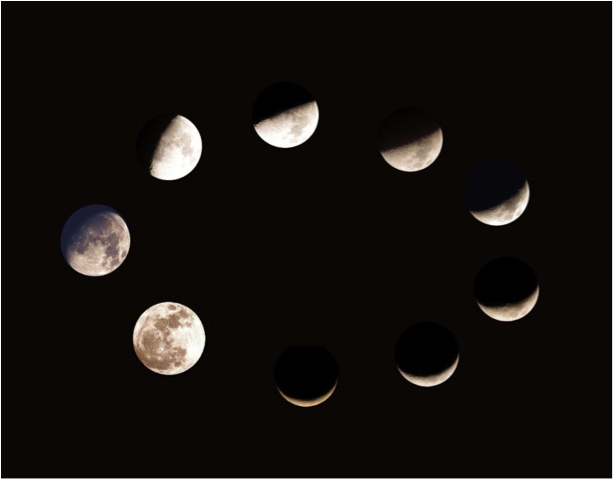 lunar phases11