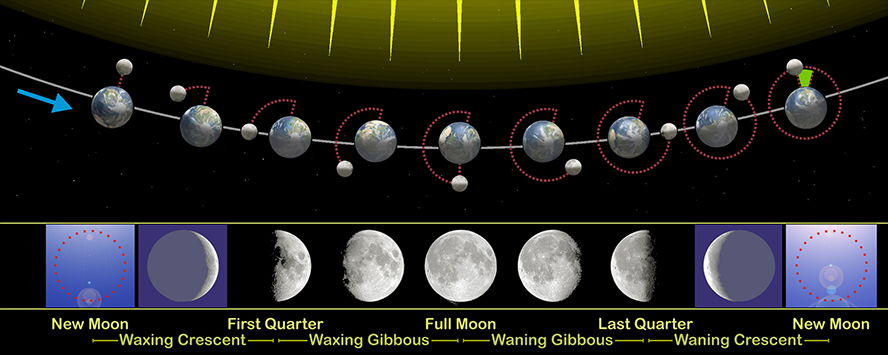 Moon Calendar Moon Calendar
