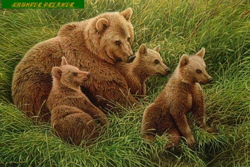 Mother Bear and her Cubs