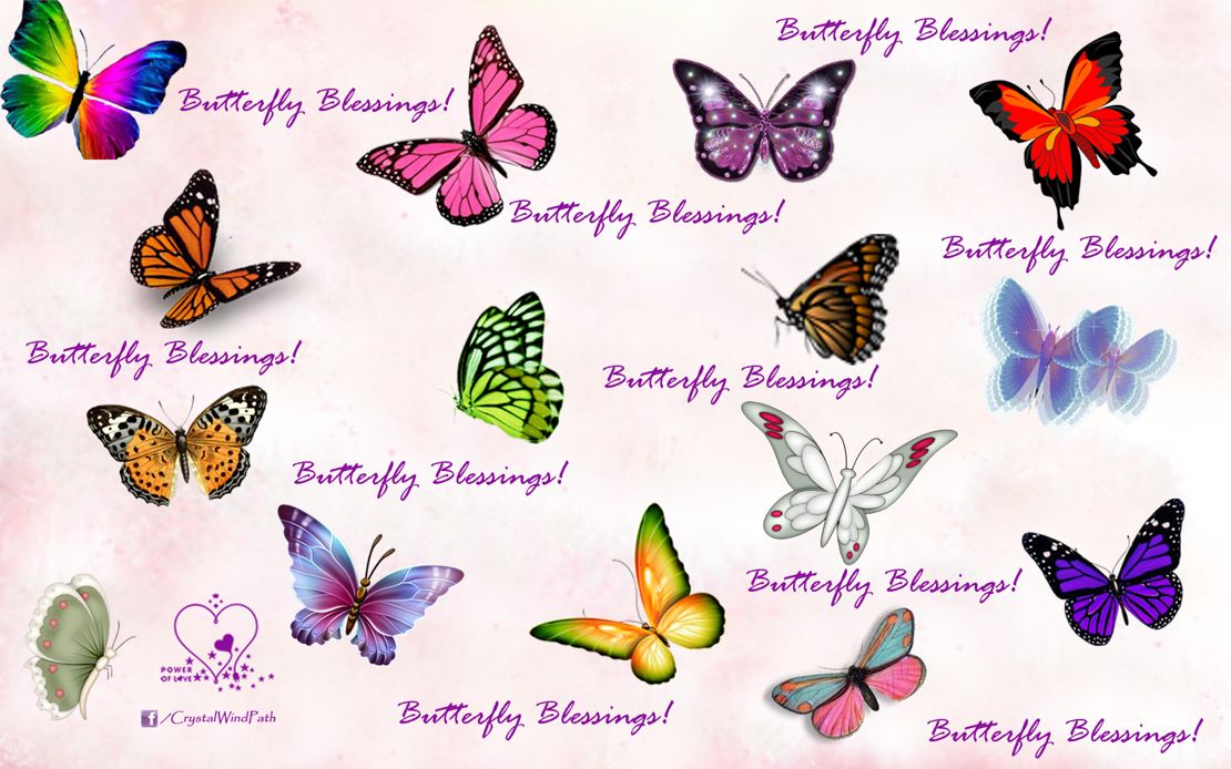 Butterflies: Winged Spiritual Messengers buttefly poster zazzle