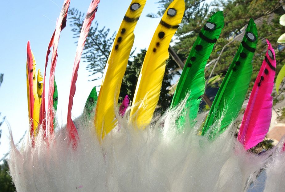 Feather Colours feather-colours