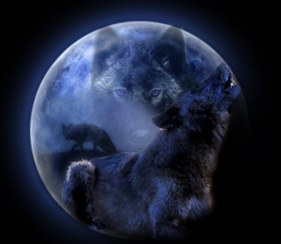 wolf-moon