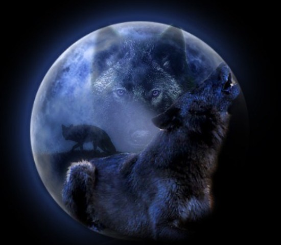January Full Wolf Moon wolf-moon
