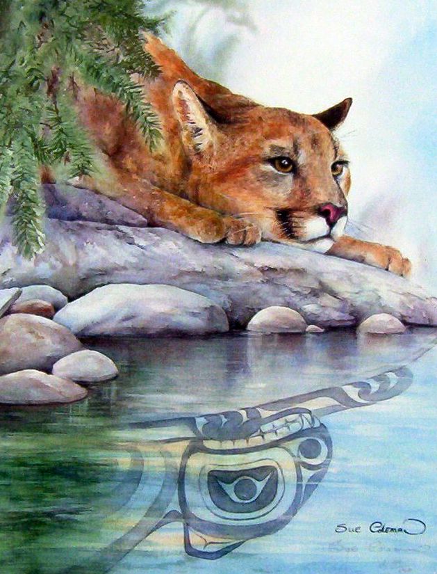 coleman-cougar-reflection