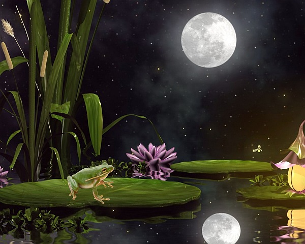 Frog-Moon
