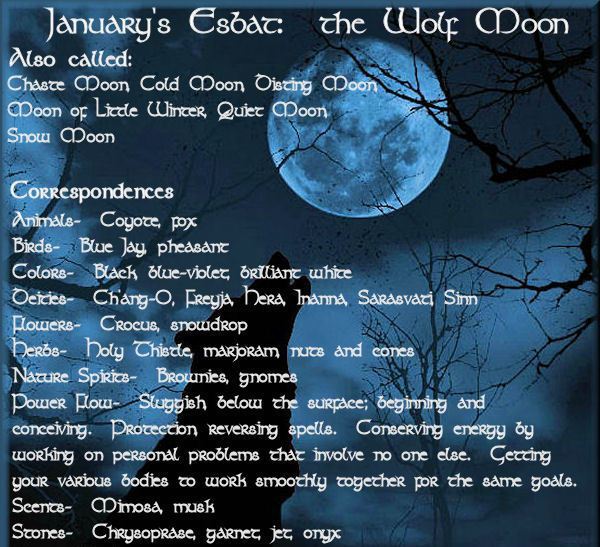 January Full Wolf Moon wolf-moon