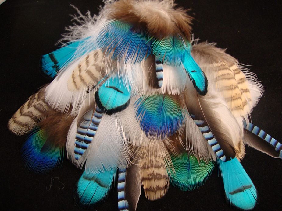 Native American Feathers native-feathers