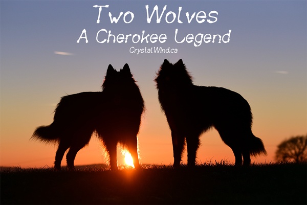 A Cherokee Legend - Two Wolves