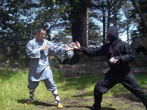 Shaolin vs Ninja