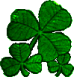 Shamrocks