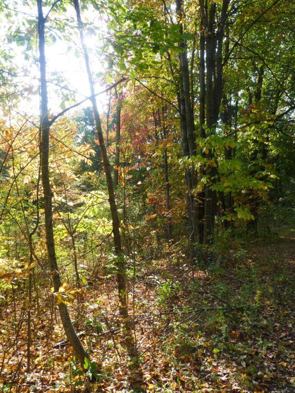 Wild spaces to run free Wild spaces to run free