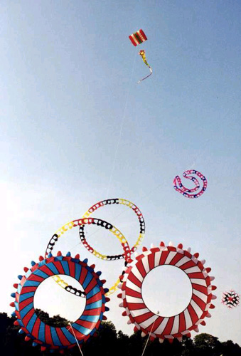 makar_sankranti_kites