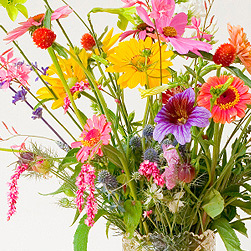 Spring Flower Bouquet