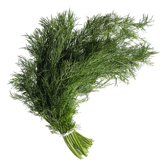 dill