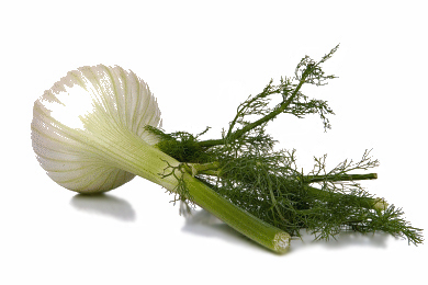 fennel