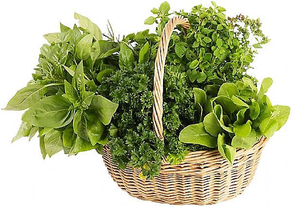 kitchen_herb_basket