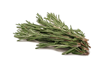 rosemary