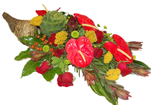 lammas_anthurium_cornucopia