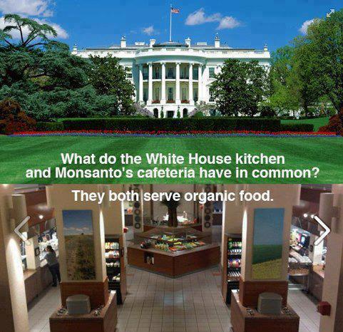 monsanto_whitehouse_cafeteria