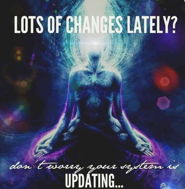 Body Changes Body Changes