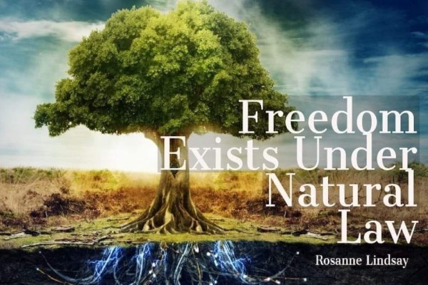 Natural Law Natural Law
