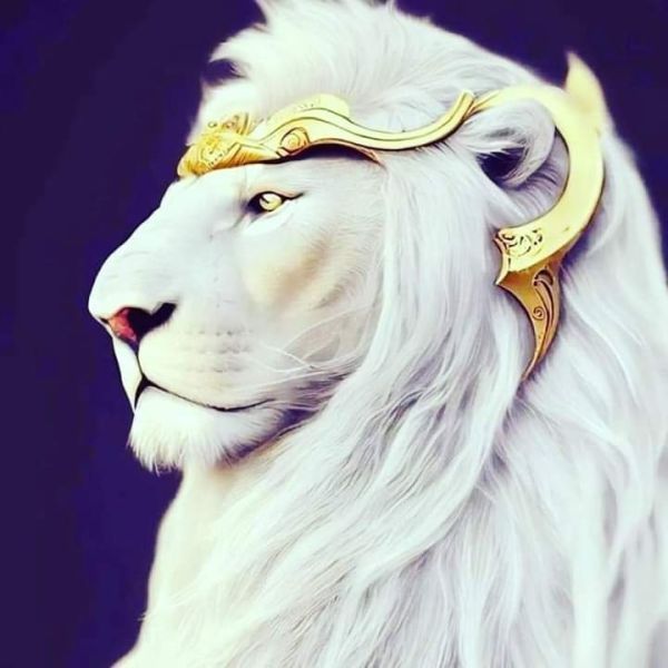 Cosmic Energy Update: The Return Of The Original Tribes, Guardians & Founder Races! Cosmic Energy Update: The Return Of The Original Tribes, Guardians & Founder Races!